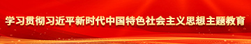 别插男女生视频视频学习贯彻习近平新时代中国特色社会主义思想主题教育