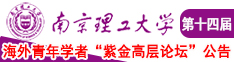 欧美黑丝在线被插南京理工大学第十四届海外青年学者紫金论坛诚邀海内外英才！